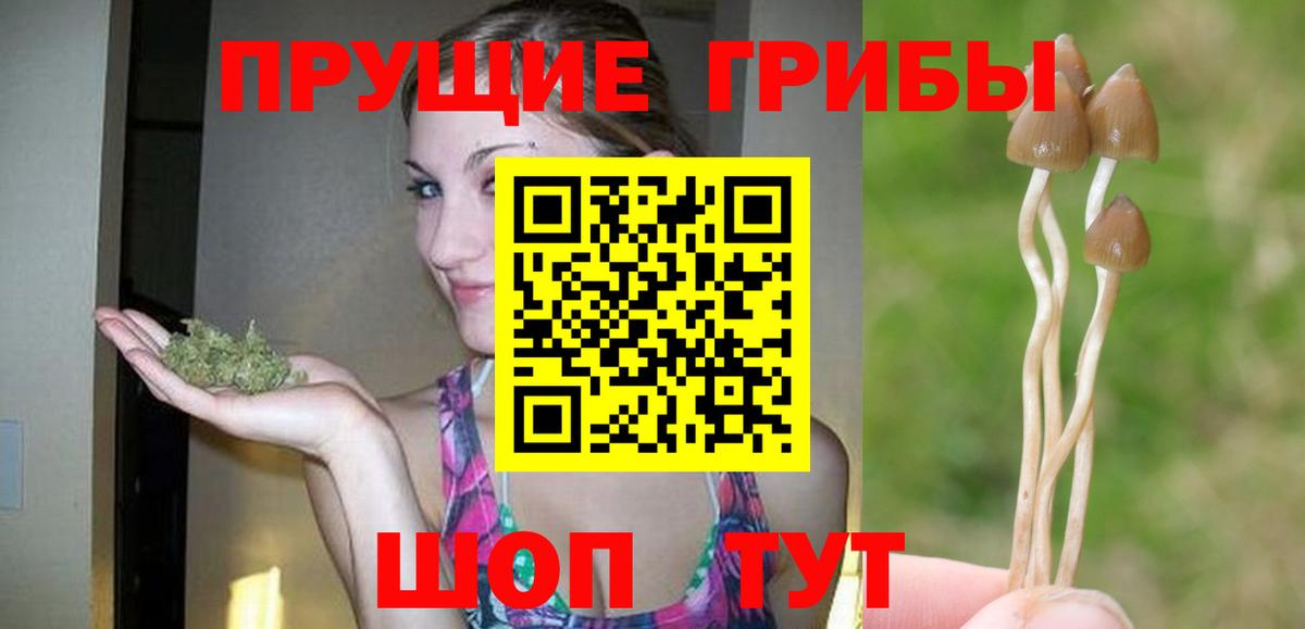 Псилоцибиновые грибы Psilocybe  Галлюциногенные грибы MAGIC MUSHROOMS  Отрадное  Вход с VPN 